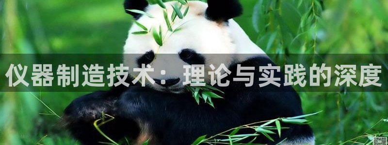海南意昂体育3发展怎么样：仪器制造技术：理论与实践的深度
