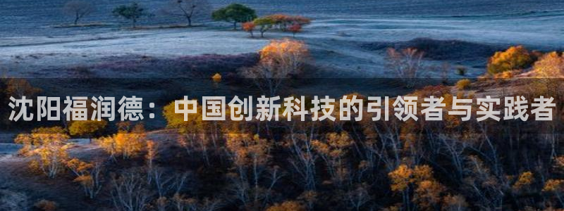 意昂体育3是干嘛的公司：沈阳福润德：中国创新科技的引领者与实