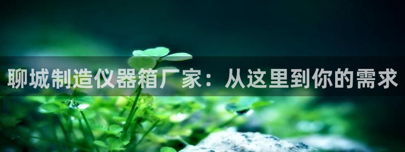 意昂体育3招商电话地址是多少：聊城制造仪器箱厂家：从这里到你