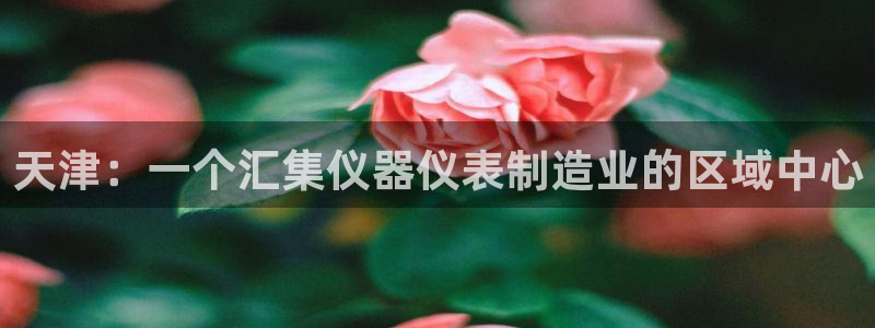 意昂3集团E.ON：天津：一个汇集仪器仪表制造业的区域中心