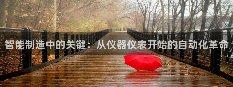 意昂体育3招商电话号码查询是多少：智能制造中的关键：从仪器仪