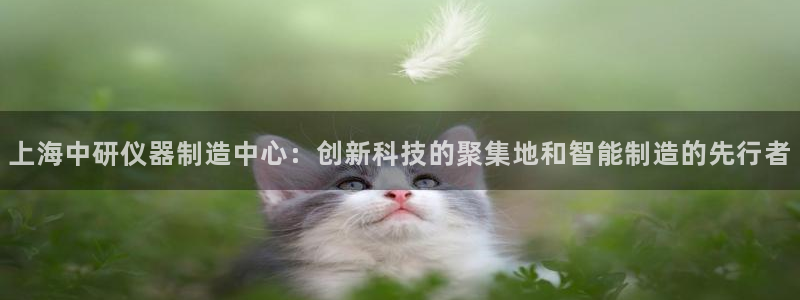 意昂体育3招商电话：上海中研仪器制造中心：创新科技的聚集地和