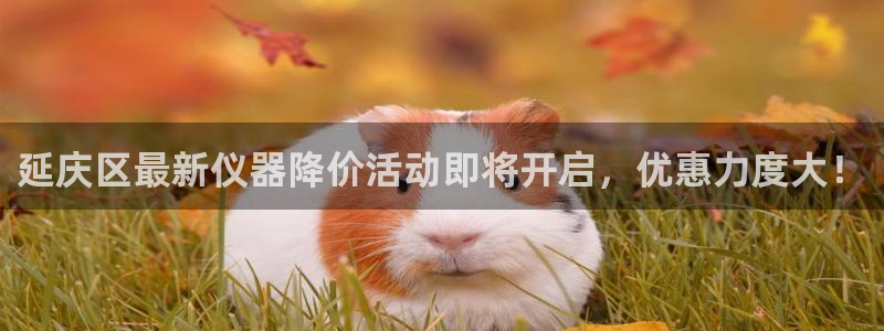 意昂体育3平台注册要钱吗：延庆区最新仪器降价活动即将开启，优