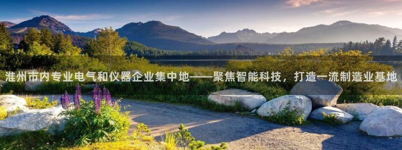 意昂体育3平台注册要钱吗安全吗：淮州市内专业电气和仪器企业集