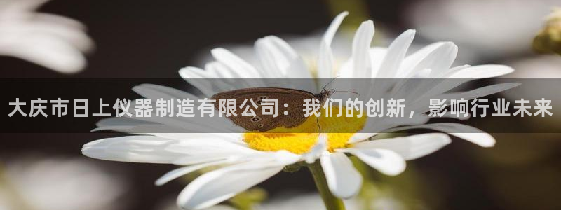 意昂体育3招商电话号码是多少啊：大庆市日上仪器制造有限公司：