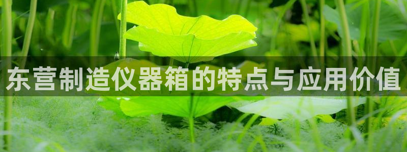 意昂体育3开户：东营制造仪器箱的特点与应用价值