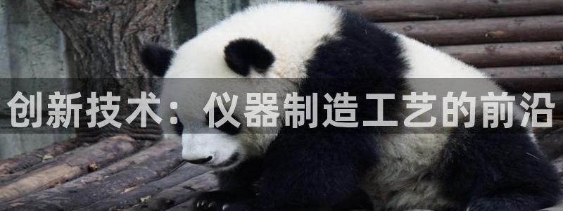 海南意昂体育3发展怎么样：创新技术：仪器制造工艺的前沿