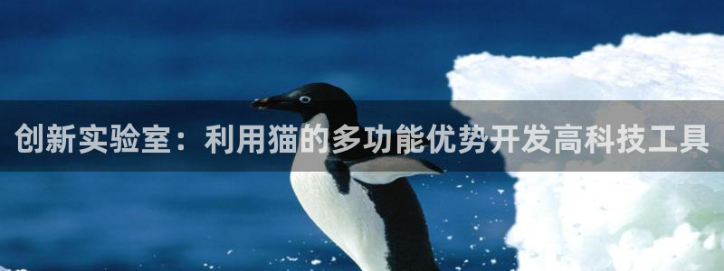 意昂体育3平台是正规平台吗知乎：创新实验室：利用猫的多功能优