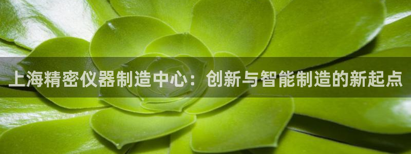 意昂体育3平台APP：上海精密仪器制造中心：创新与智能制造的