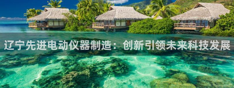 意昂体育3平台注册要钱吗：辽宁先进电动仪器制造：创新引领未来
