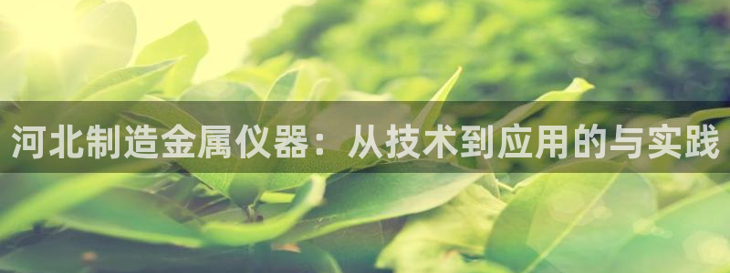 意昂3集团官网首页：河北制造金属仪器：从技术到应用的与实践