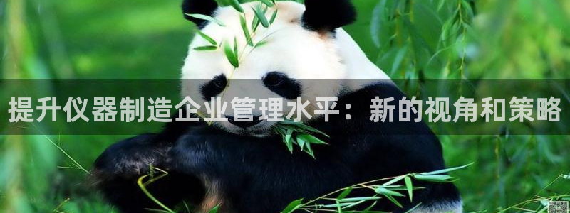 意昂体育3平台：提升仪器制造企业管理水平：新的视角和策略