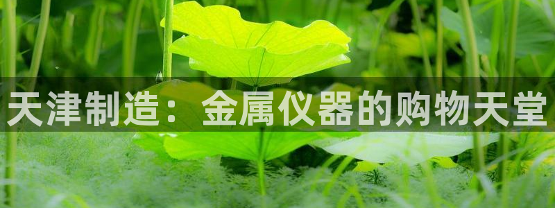 意昂3娱乐网站：天津制造：金属仪器的购物天堂