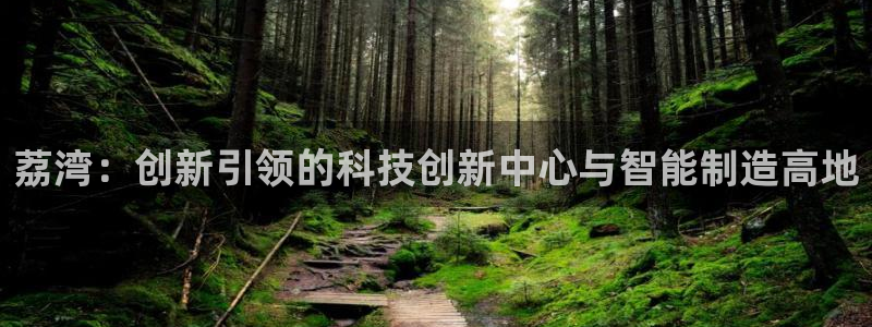 意昂3集团：荔湾：创新引领的科技创新中心与智能制造高地