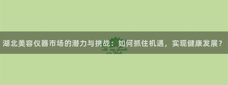 意昂体育3平台APP：湖北美容仪器市场的潜力与挑战：如何抓住
