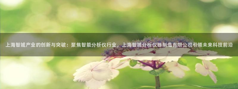 意昂体育3软件：上海智城产业的创新与突破：聚焦智能分析仪行业