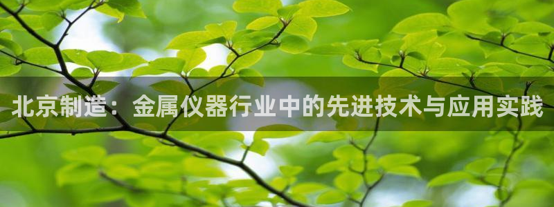 意昂3娱乐首页网站大全：北京制造：金属仪器行业中的先进技术与