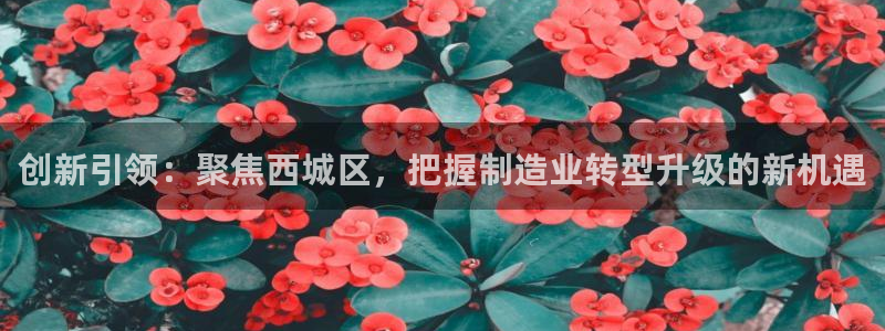 意昂体育3招商电话地址：创新引领：聚焦西城区，把握制造业转型