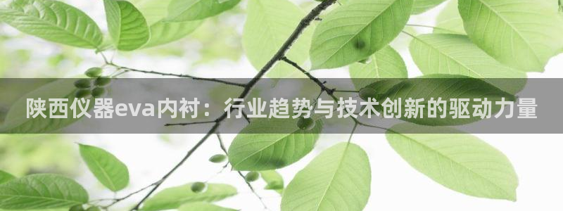 意昂体育3：陕西仪器eva内衬：行业趋势与技术创新的驱动力量
