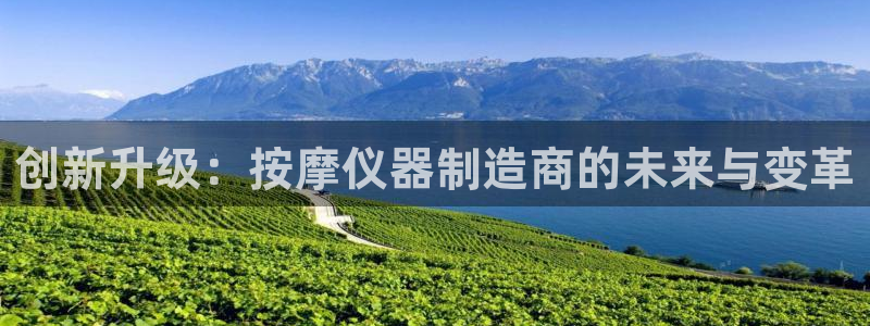 意昂3娱乐下载：创新升级：按摩仪器制造商的未来与变革