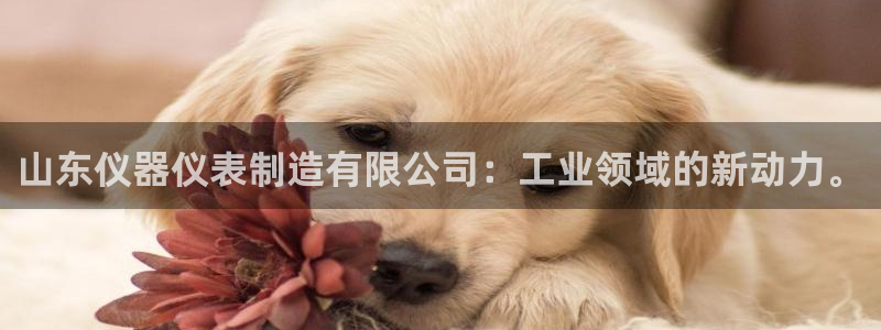 意昂体育3招商：山东仪器仪表制造有限公司：工业领域的新动力。