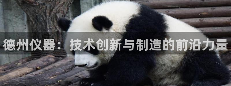意昂3娱乐首页官网下载：德州仪器：技术创新与制造的前沿力量