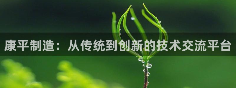 意昂3娱乐是那个系列的台子：康平制造：从传统到创新的技术交流