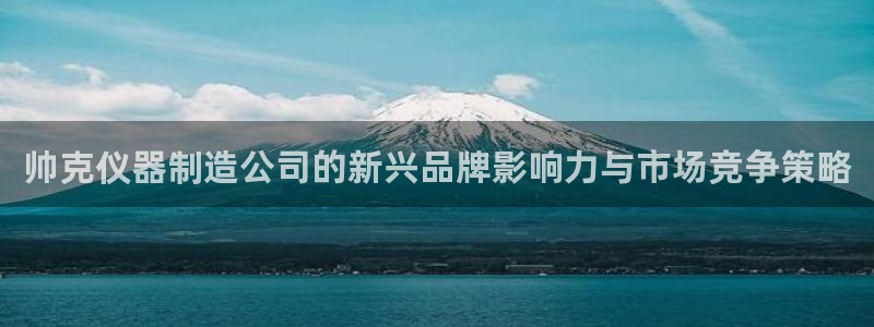 意昂集团官网：帅克仪器制造公司的新兴品牌影响力与市场竞争策略