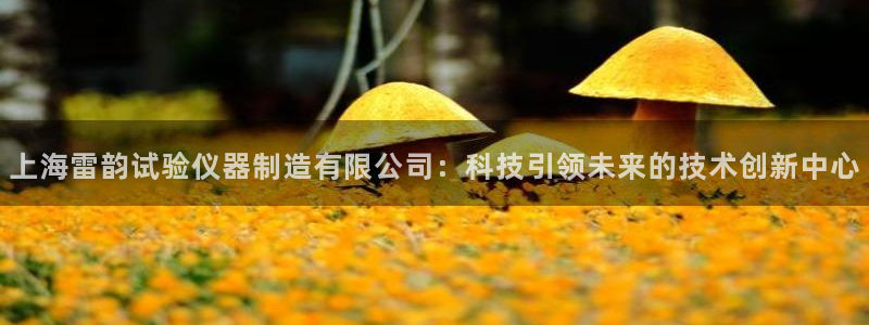 意昂3集团：上海雷韵试验仪器制造有限公司：科技引领未来的技术