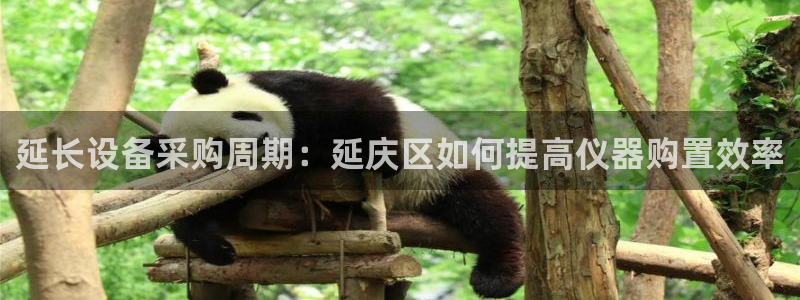 意昂3娱乐40996：延长设备采购周期：延庆区如何提高仪器购