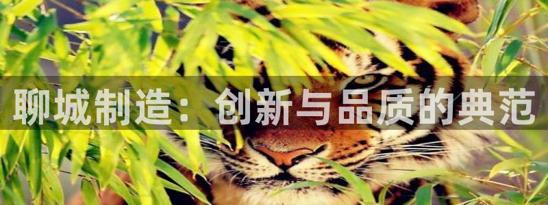 意昂体育3平台是正规平台吗知乎：聊城制造：创新与品质的典范