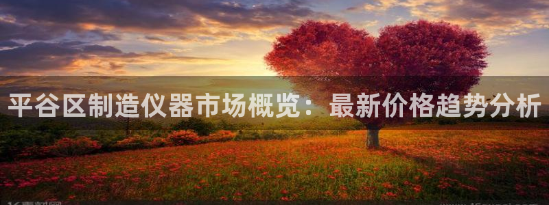 意昂体育3平台注册流程图：平谷区制造仪器市场概览：最新价格趋