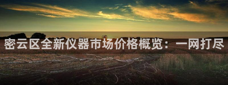 意昂3集团官网首页：密云区全新仪器市场价格概览：一网打尽