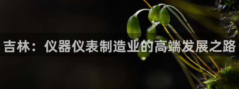 意昂体育3平台注册要钱吗安全吗：吉林：仪器仪表制造业的高端发