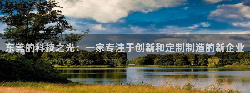 意昂体育3平台：东莞的科技之光：一家专注于创新和定制制造的新