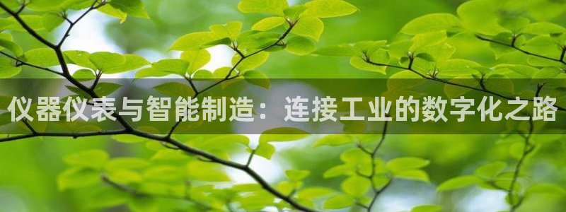 意昂体育3招商电话号码查询是多少：仪器仪表与智能制造：连接工
