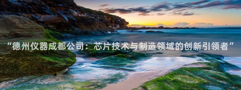 意昂体育3招商电话是多少号码：“德州仪器成都公司：芯片技术与