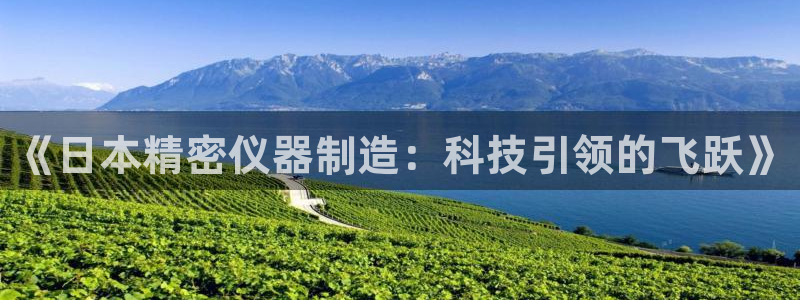 意昂体育3招商电话是多少号码：《日本精密仪器制造：科技引领的