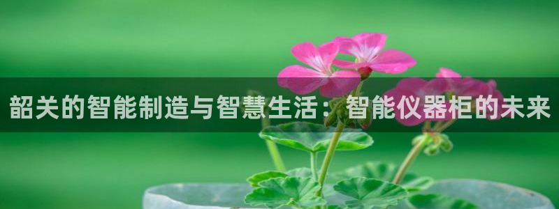 意昂集团官网：韶关的智能制造与智慧生活：智能仪器柜的未来