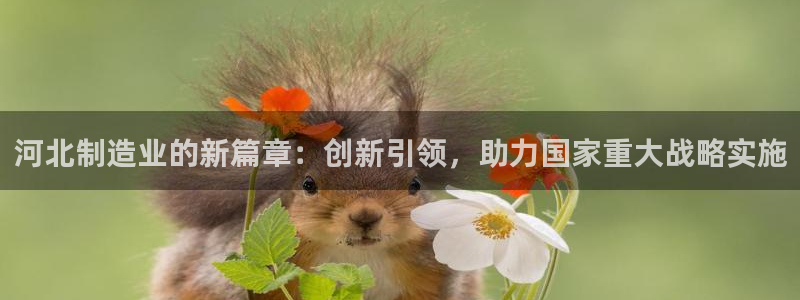 意昂3代理：河北制造业的新篇章：创新引领，助力国家重大战略实