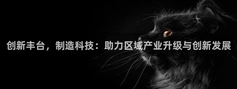 海南意昂体育3：创新丰台，制造科技：助力区域产业升级与创新发