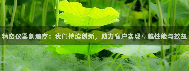 意昂体育3平台假的吗是真的吗吗：精密仪器制造商：我们持续创新