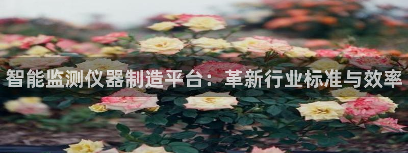 意昂3娱乐平台：智能监测仪器制造平台：革新行业标准与效率