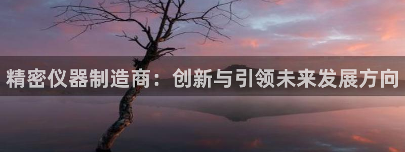 意昂体育3平台是正规平台吗知乎：精密仪器制造商：创新与引领未