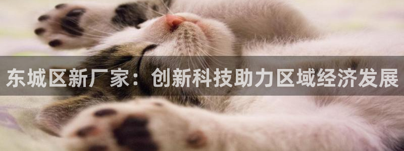 意昂体育3：东城区新厂家：创新科技助力区域经济发展