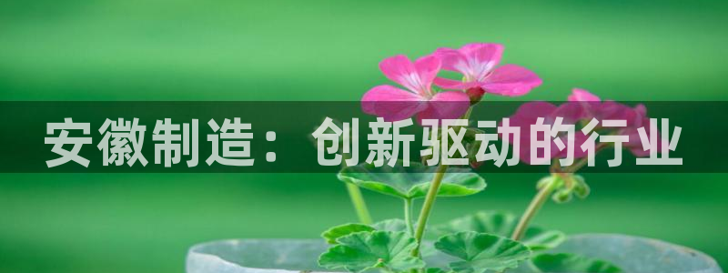 意昂体育3平台是正规平台吗安全吗：安徽制造：创新驱动的行业