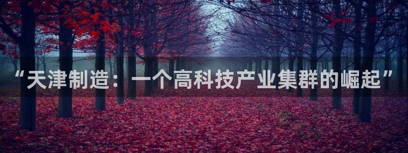 意昂体育3平台注册要钱吗：“天津制造：一个高科技产业集群的崛