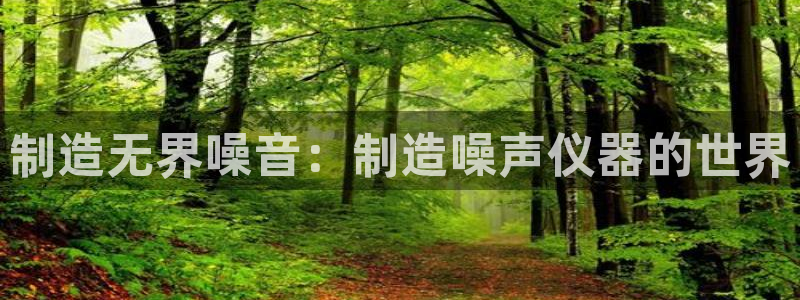 意昂体育3平台注册要钱吗安全吗：制造无界噪音：制造噪声仪器的