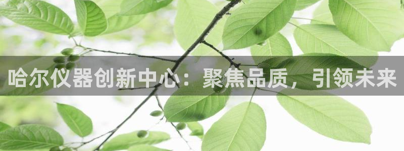 意昂体育3平台是正规平台吗安全吗：哈尔仪器创新中心：聚焦品质