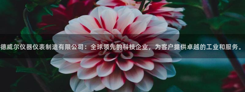 意昂体育3平台注册流程图：德威尔仪器仪表制造有限公司：全球领